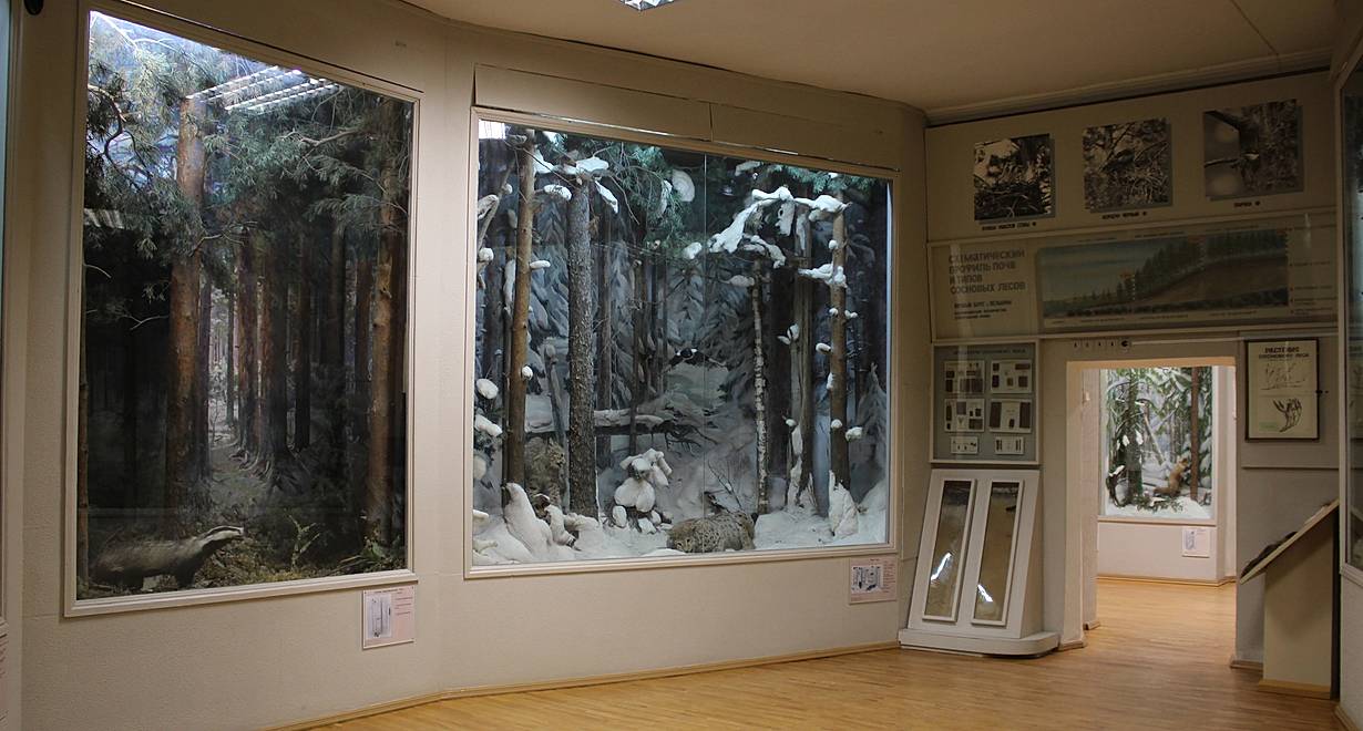 Экспозиция "Природа и история Вологодского края"