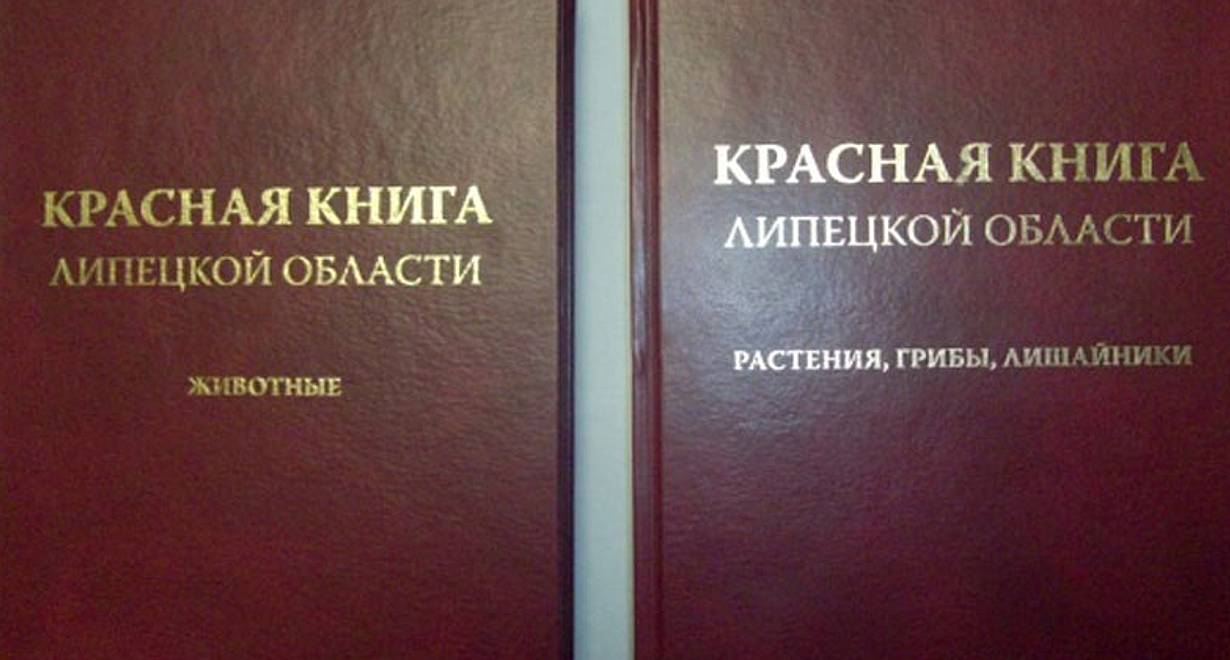 «По страницам Красной книги Липецкой области»