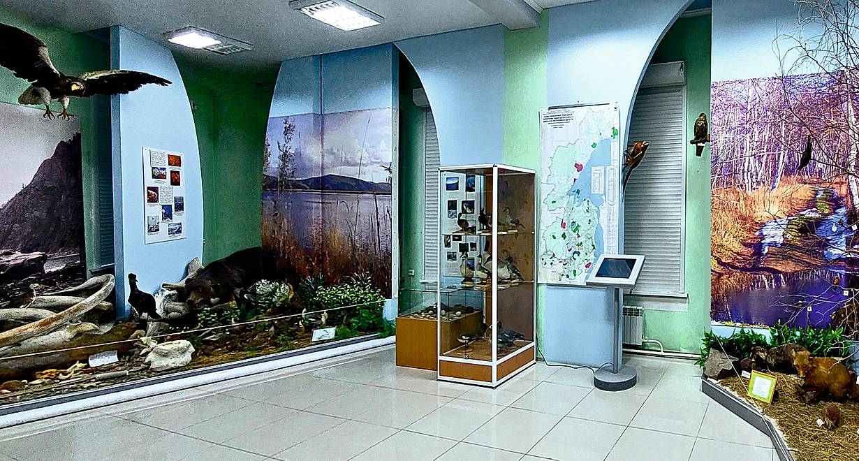 Межпоселенческий краеведческий музей им. В.Е.Розова