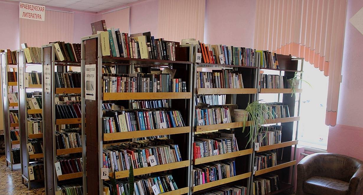 Красноборская библиотека